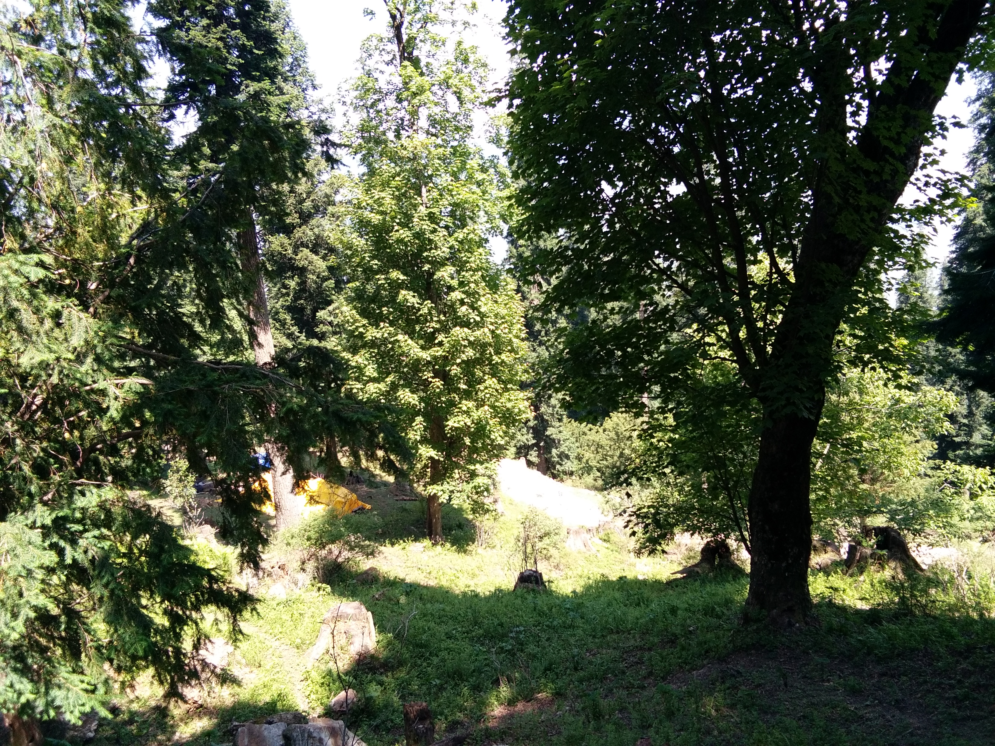Chanshal Pass Trek