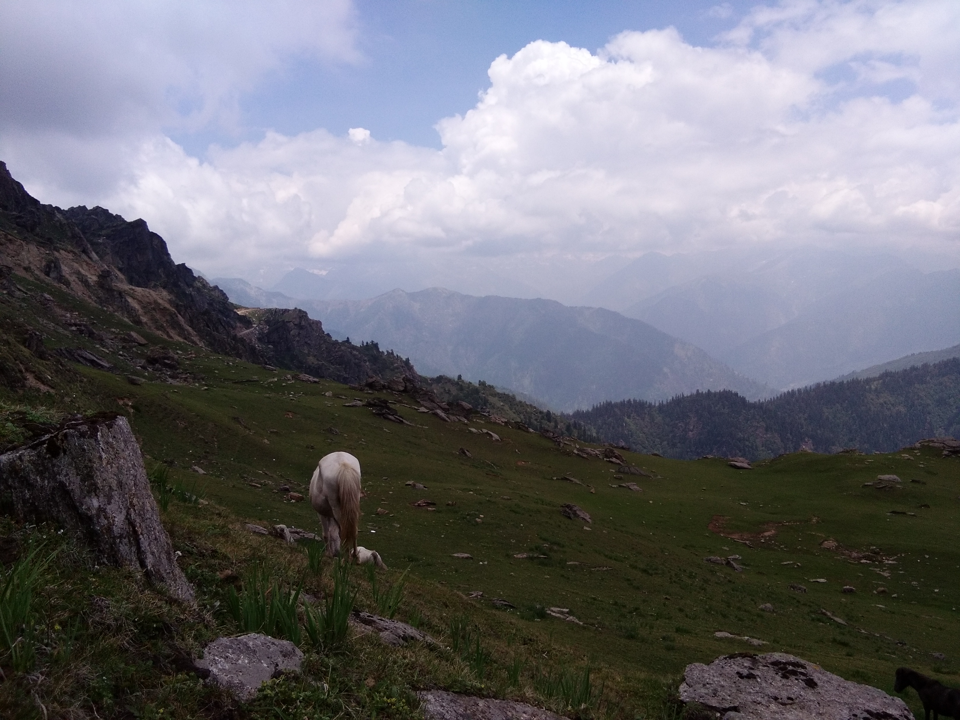 Chanshal Pass Trek
